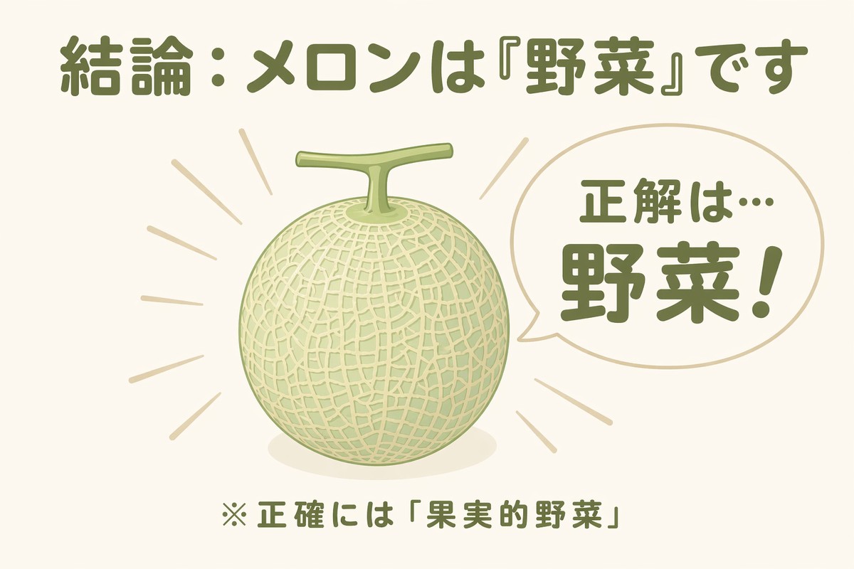 結論 メロンは分類上『野菜』 正確には果実的野菜