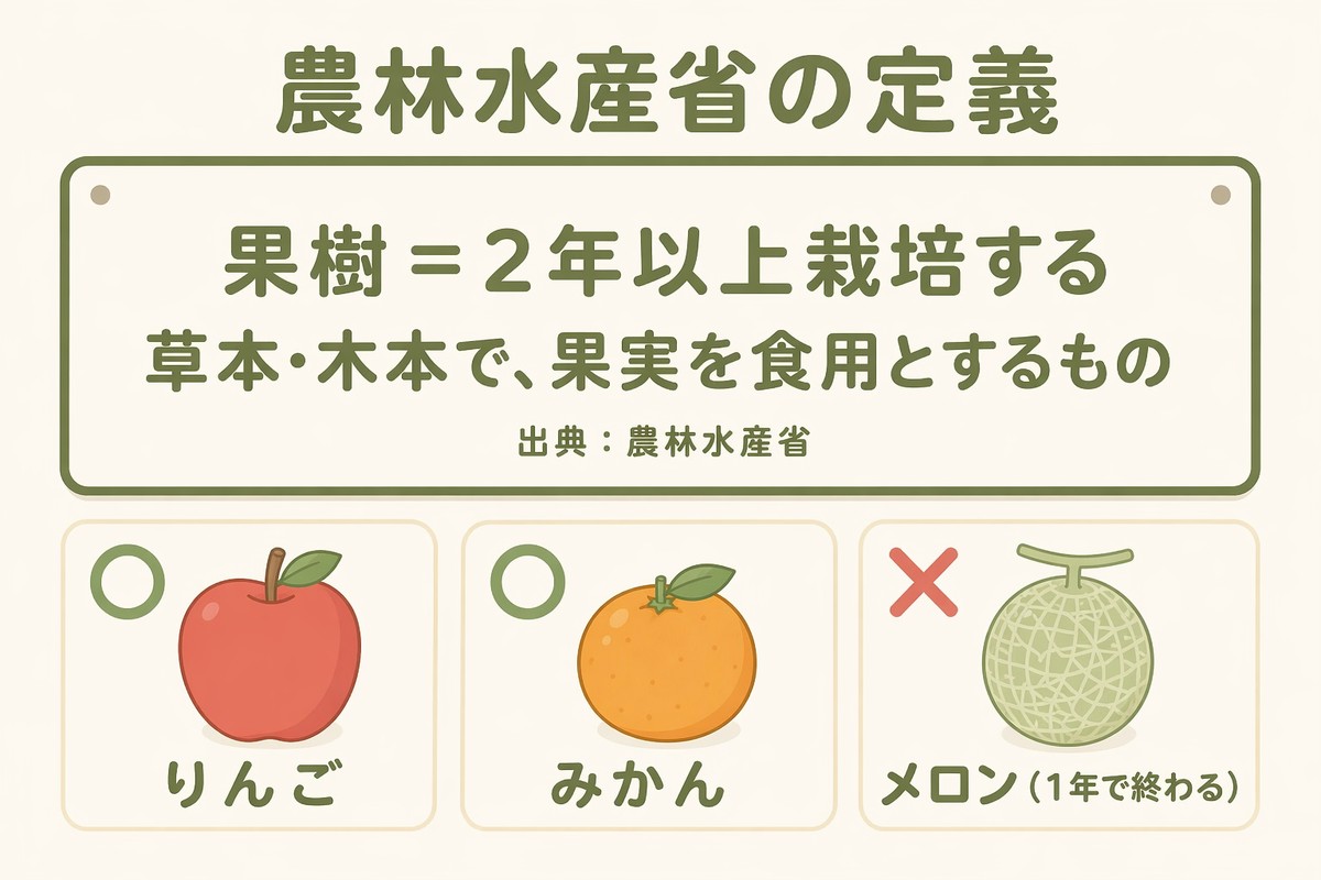 農林水産省の定義 果樹は2年以上栽培 りんご○ みかん○ メロンは×で1年で終わる