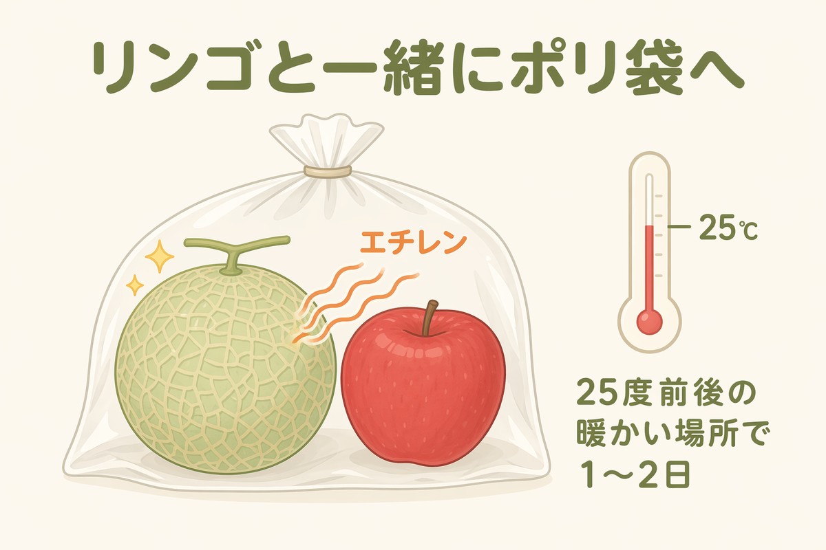 リンゴと一緒にポリ袋へ エチレンで追熟促進 25度前後の暖かい場所で1〜2日