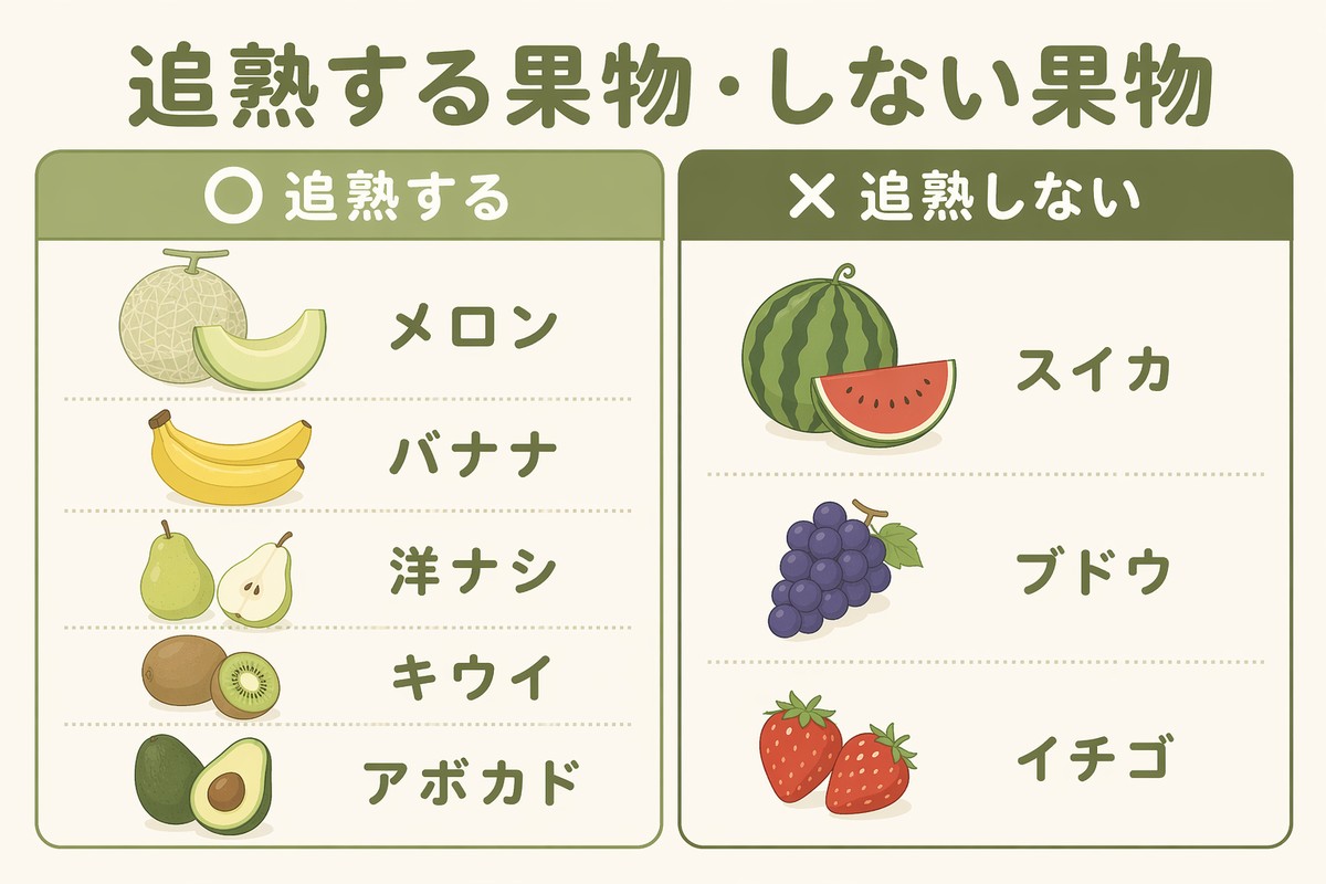 追熟する果物・しない果物 ○メロン・バナナ・洋ナシ・キウイ・アボカド ×スイカ・ブドウ・イチゴ