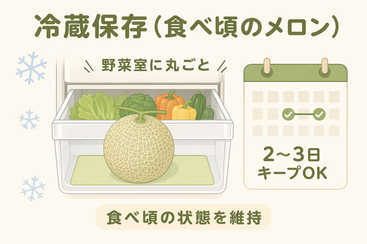 冷蔵保存 食べ頃のメロン 野菜室に丸ごと 2〜3日キープOK