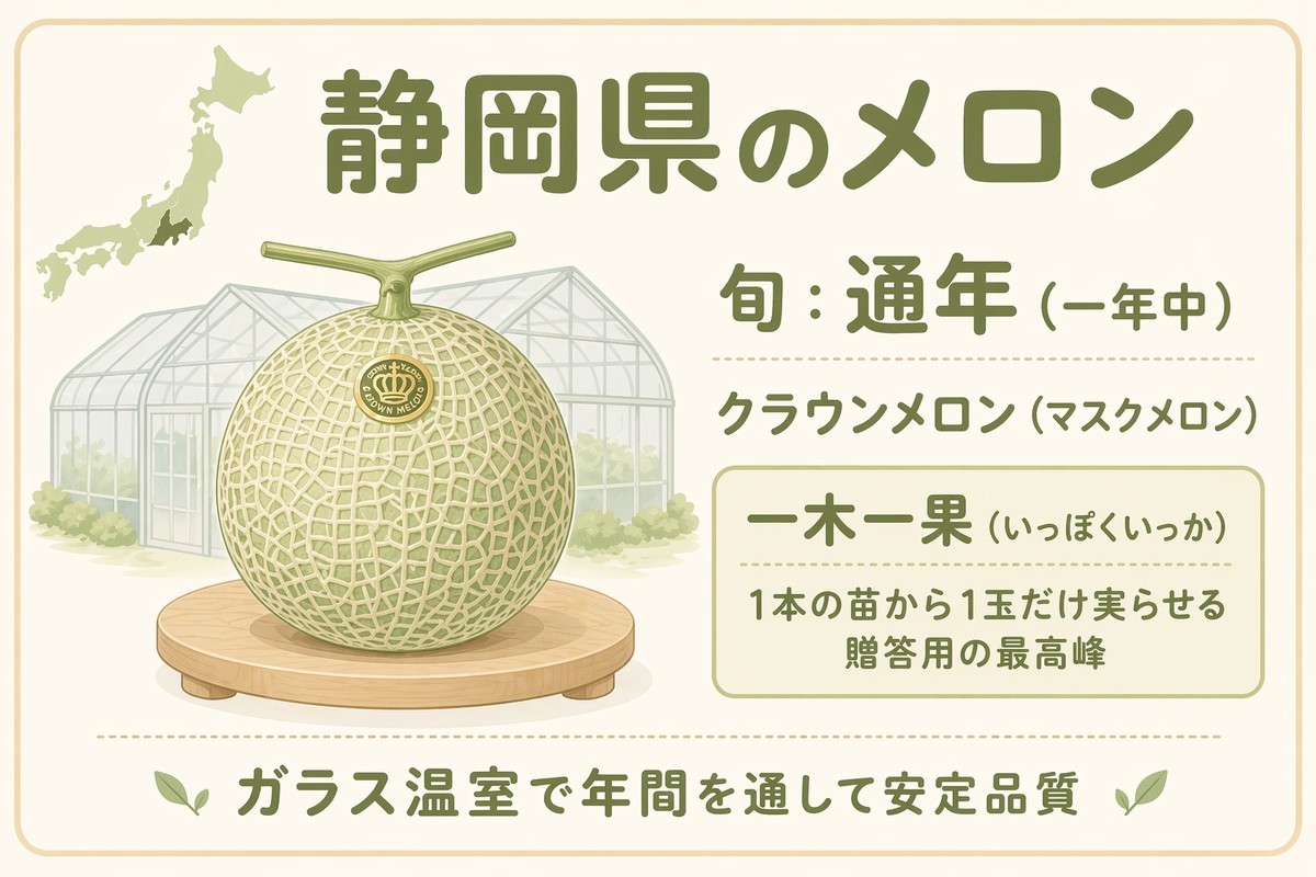 静岡県のメロン 旬通年（一年中） クラウンメロン（マスクメロン） 一木一果＝1本の苗から1玉だけ実らせる贈答用の最高峰 ガラス温室で年間を通して安定品質