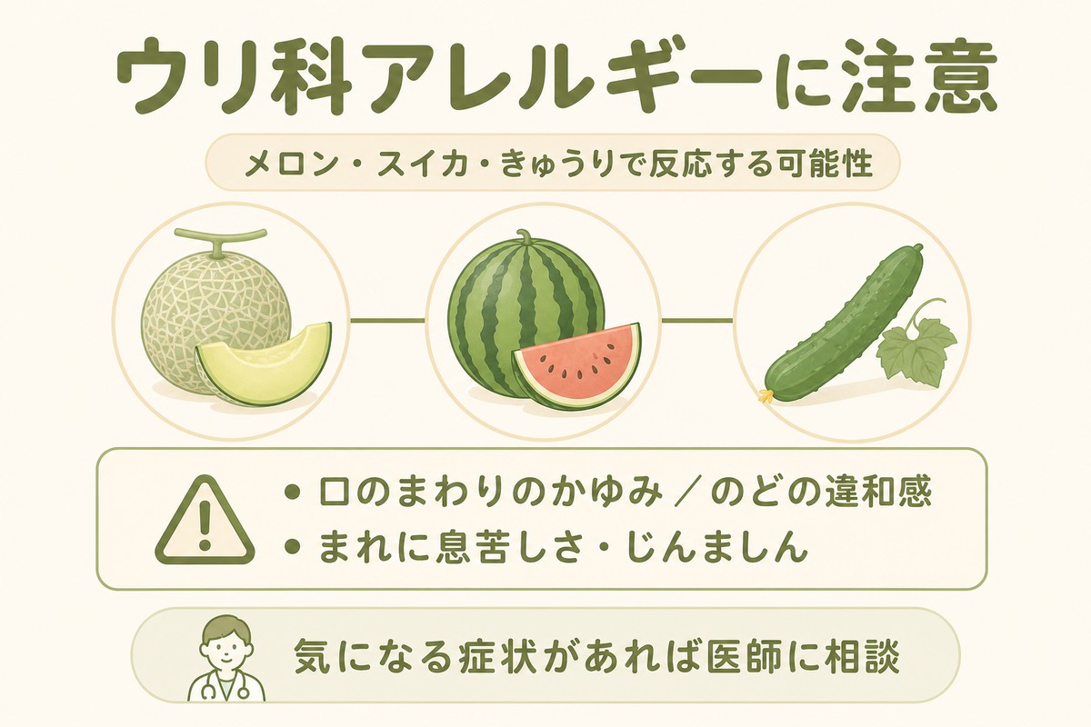 ウリ科アレルギーに注意 メロン・スイカ・きゅうりで反応する可能性 口のまわりのかゆみ・のどの違和感 まれに息苦しさ・じんましん 気になる症状があれば医師に相談