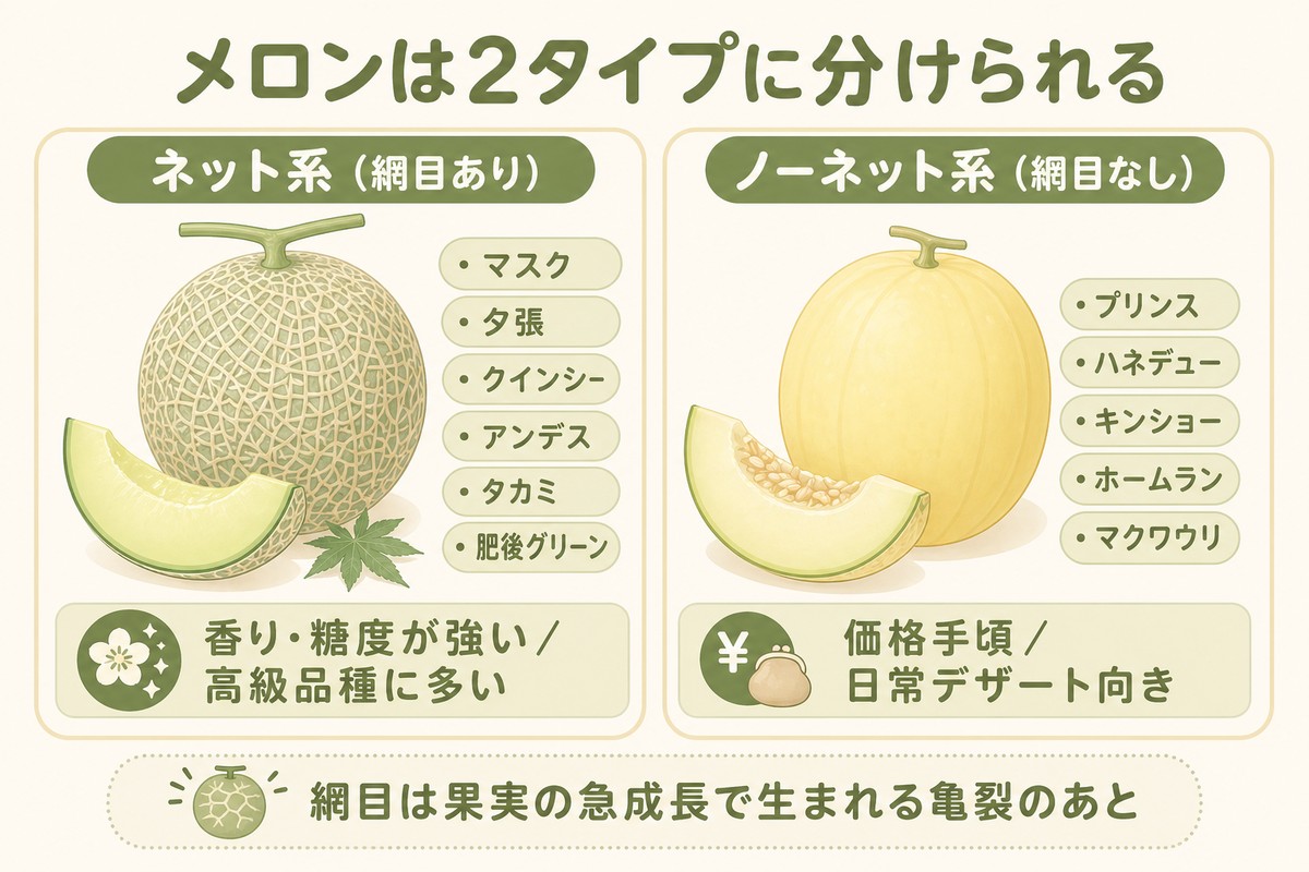 メロンは2タイプに分けられる ネット系（網目あり）：マスク・夕張・クインシー・アンデス・タカミ・肥後グリーン／香り・糖度が強い・高級品種に多い ノーネット系（網目なし）：プリンス・ハネデュー・キンショー・ホームラン・マクワウリ／価格手頃・日常デザート向き