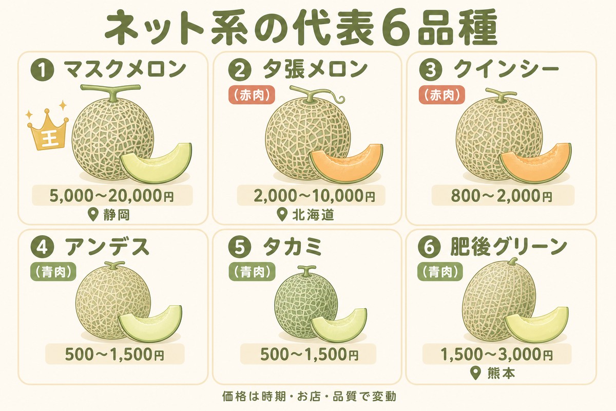 ネット系の代表6品種 ①マスクメロン（5,000〜20,000円・静岡）②夕張メロン（赤肉・2,000〜10,000円・北海道）③クインシー（赤肉・800〜2,000円）④アンデス（青肉・500〜1,500円）⑤タカミ（青肉・500〜1,500円）⑥肥後グリーン（青肉・1,500〜3,000円・熊本）