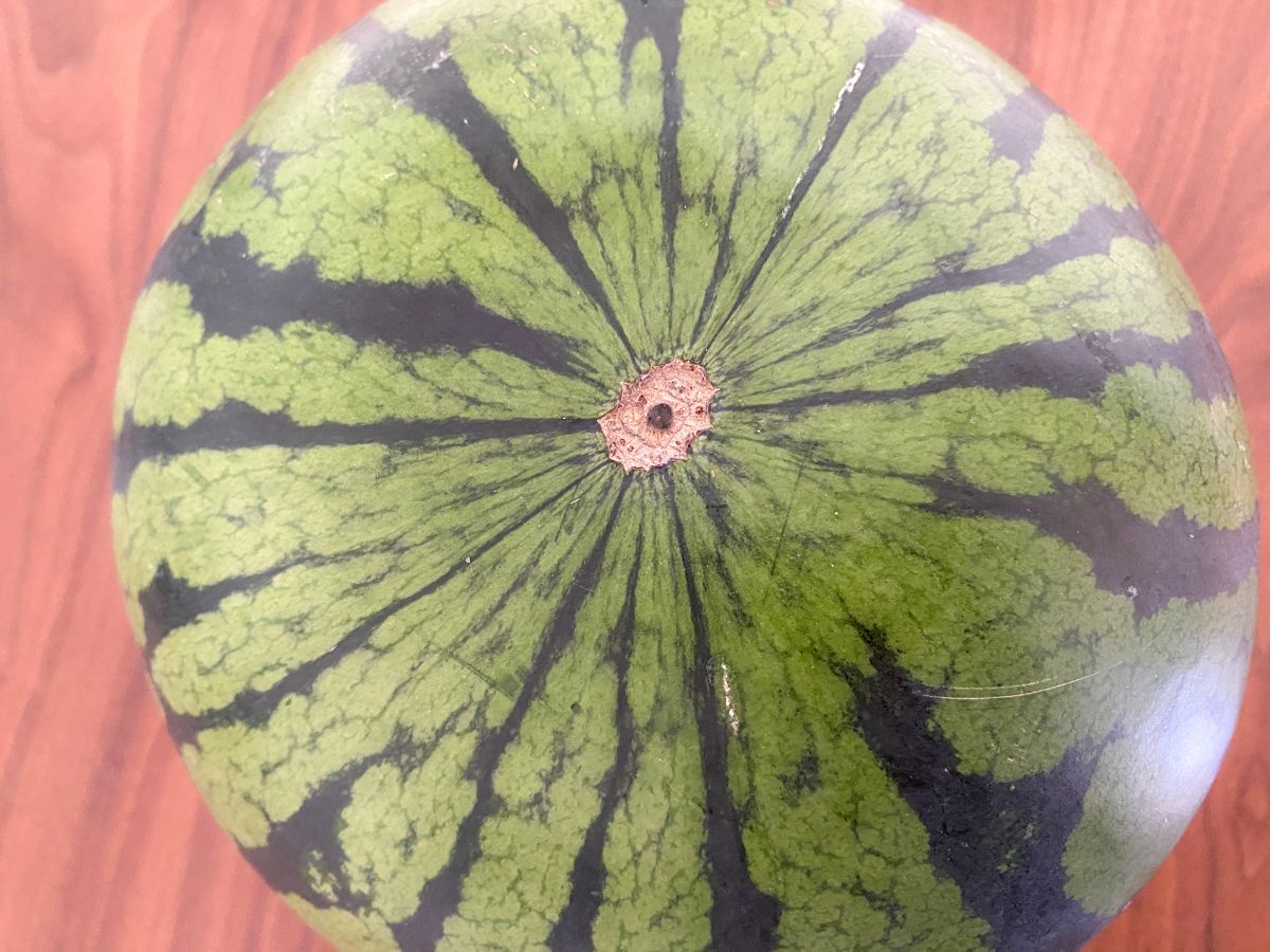 真上から見たスイカのヘタと縞模様の写真