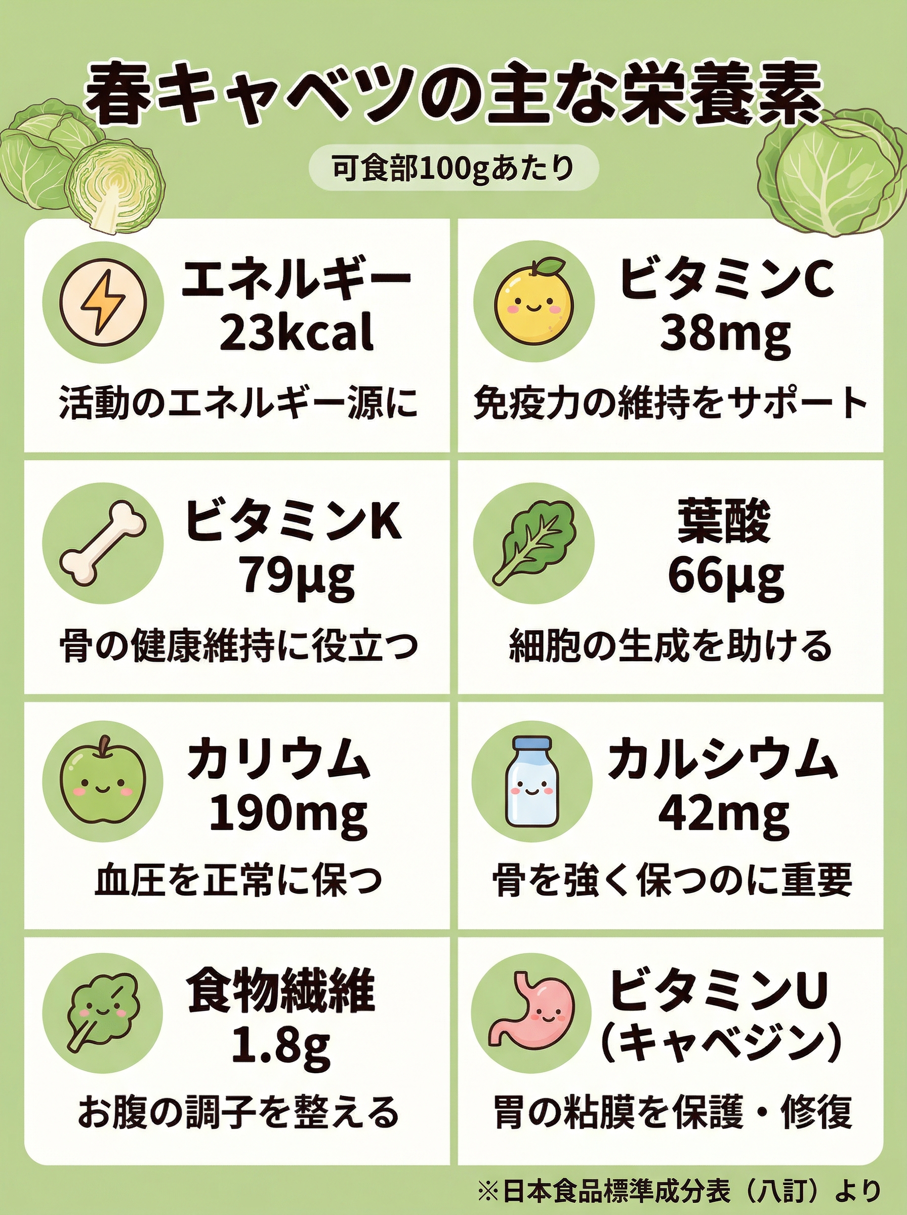 春キャベツの主な栄養素 可食部100gあたり ビタミンC38mg ビタミンK79μg 葉酸66μg カリウム190mg カルシウム42mg 食物繊維1.8g