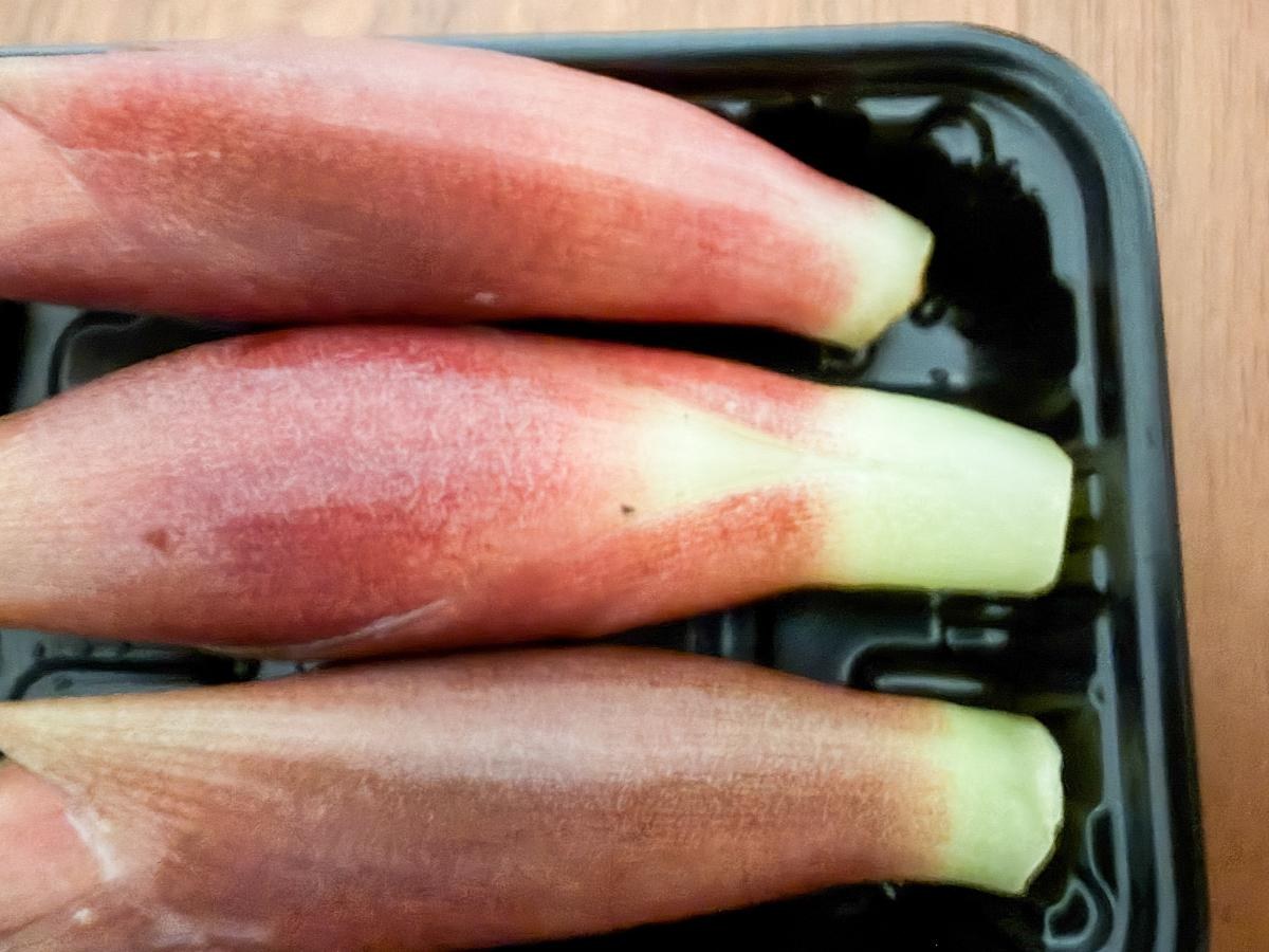 パックに入った売り場のみょうが