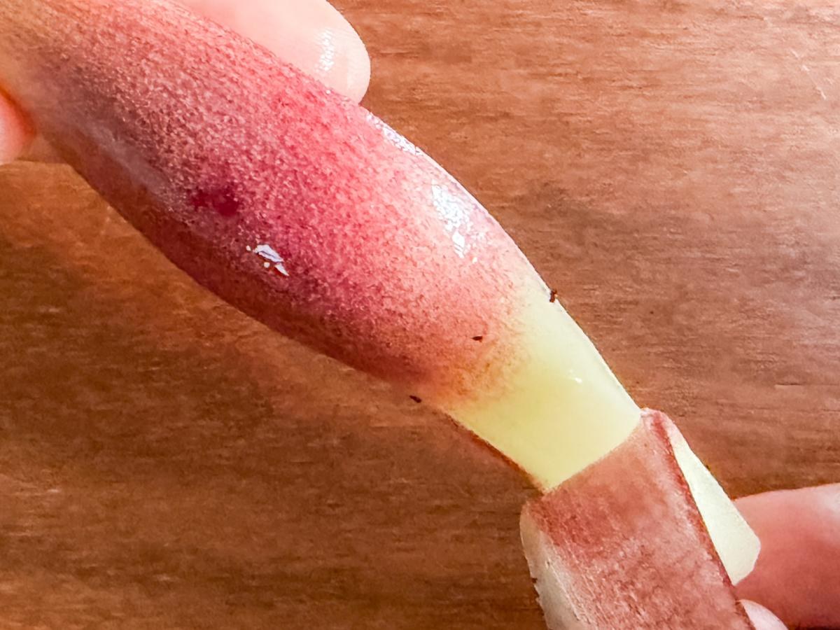 みょうがの皮の内側に残った細かな汚れ
