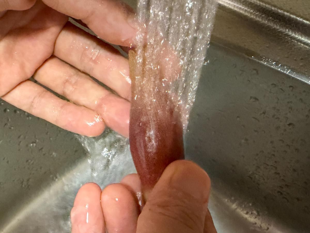 流水でみょうがをさっと洗う