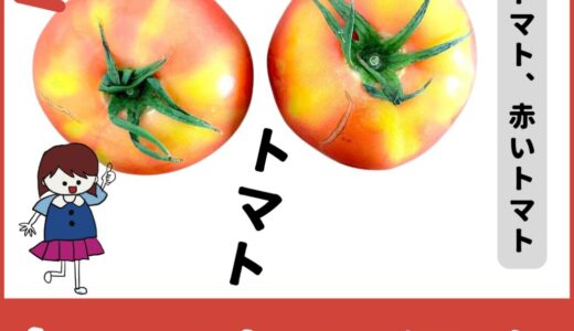 色で見分ける！「青いトマト」と「赤いトマト」の正しい保存術