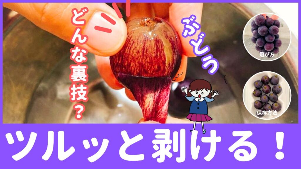 「ぶどう」の皮をツルッと剥く方法!果物のプロが解説 | ぱるとよ 食材ブログ