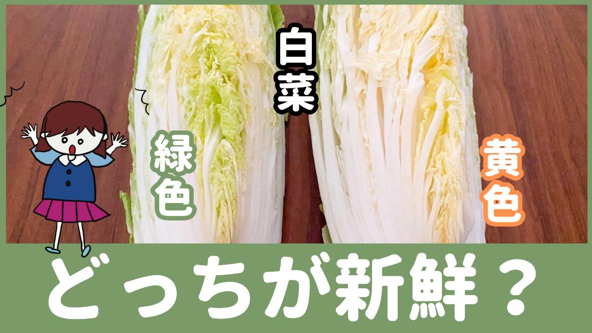 カット白菜「緑色」or「黄色」は、どっちが新鮮！「意外だった」野菜の