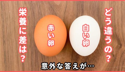 卵の「赤」と「白」は何が違うの？栄養に差はあるの？意外と知らない豆知識