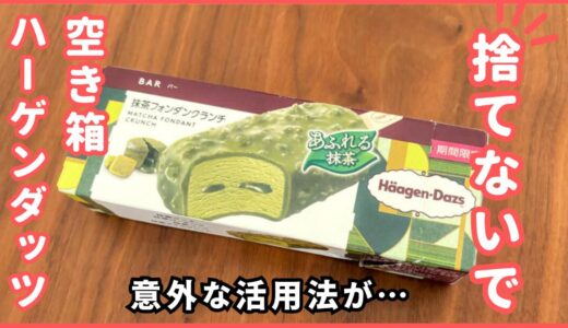 「捨てずに活用」ハーゲンダッツの箱で”調味料の収納”【意外な使い道】「早く知りたかった」「次から試したい」