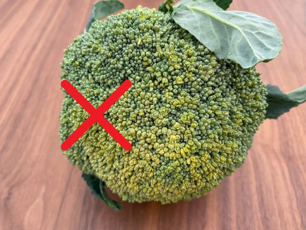 買う前にチェックして！プロが教える「ハズレのブロッコリー」の見分け