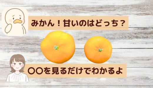 「甘いみかんは“これ”を見れば一発！」元青果担当が教える最強の見分け方3選