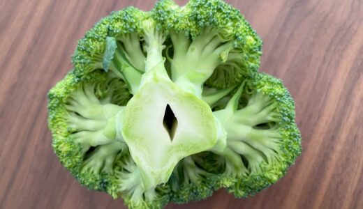 虫食い？病気？ブロッコリーの「茎の穴」の正体とは。「もう捨てない！」「今まで損してた」
