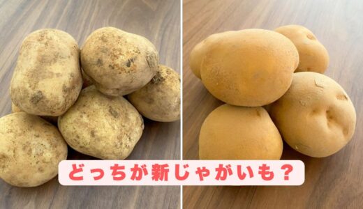 「新じゃが」と「普通のじゃがいも」は見分けられる？どっちを買うのが正解？使い分けで料理がおいしくなる
