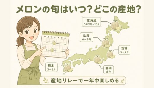 【保存版】メロンの旬はいつ？元青果担当が教える産地別のおいしい時期カレンダー