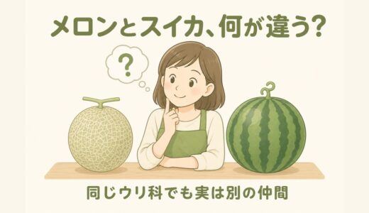「メロンとスイカ、何が違う？」元青果担当が教える同じウリ科の仲間の見分け方
