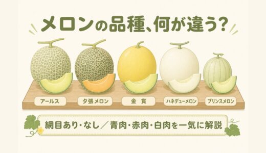 【保存版】メロンの品種ガイド｜網目ありと網目なし、代表品種の特徴・価格・見分け方