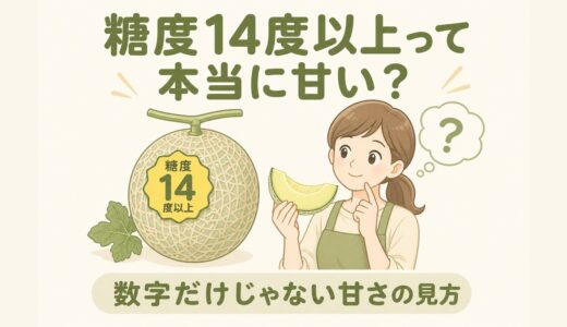 【保存版】メロンの糖度のホント｜14度以上が甘い？元青果担当が教える見方と選び方