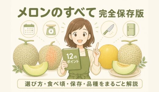 【完全保存版】メロンのすべて｜元青果担当が教える選び方・食べ頃・保存・品種12のポイント