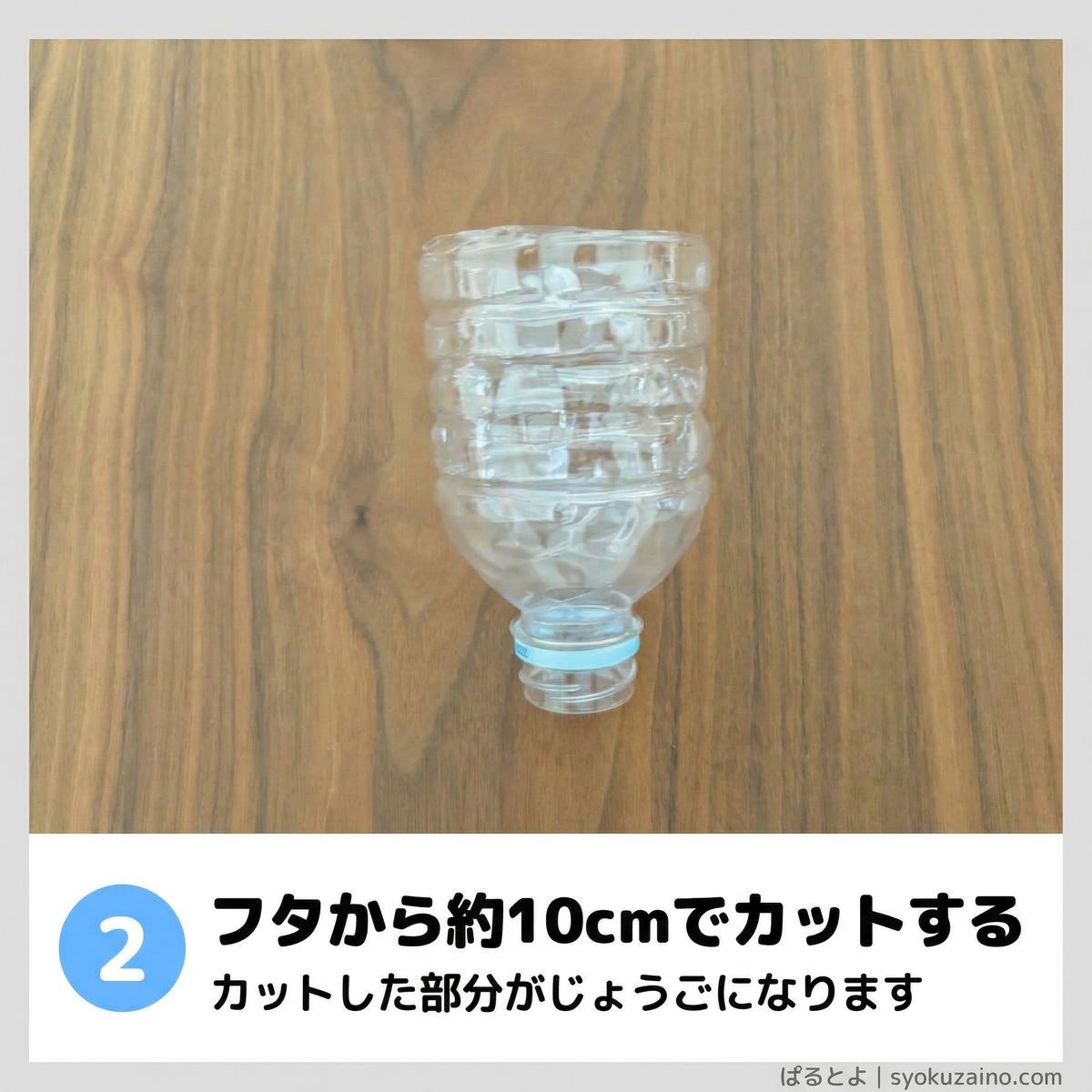 ステップ2：フタから約10cmでカットする