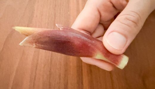 みょうがは「洗う？洗わない？」意外と知らない下処理を元スーパー店員が解説