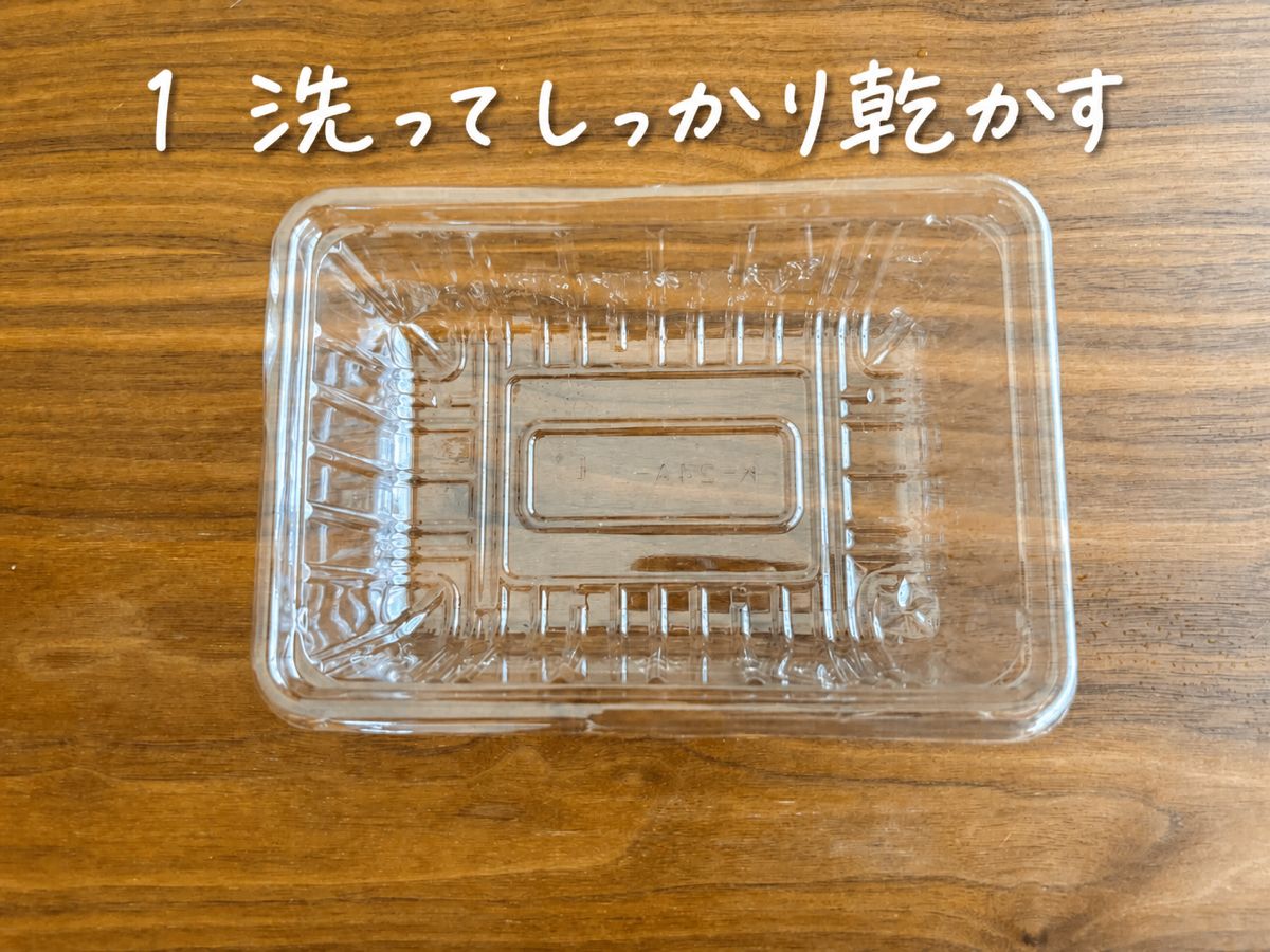 洗って乾かしたぶどうの空きパック
