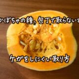 「かぼちゃの種、包丁で取らないで」ケガをしにくい取り方に「その手があったか」「安全で取りやすい」
