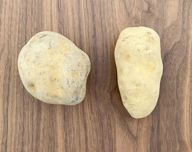 丸くてゴツゴツした男爵いもは、ほくほくした品種ですが、煮崩れしやすいです。