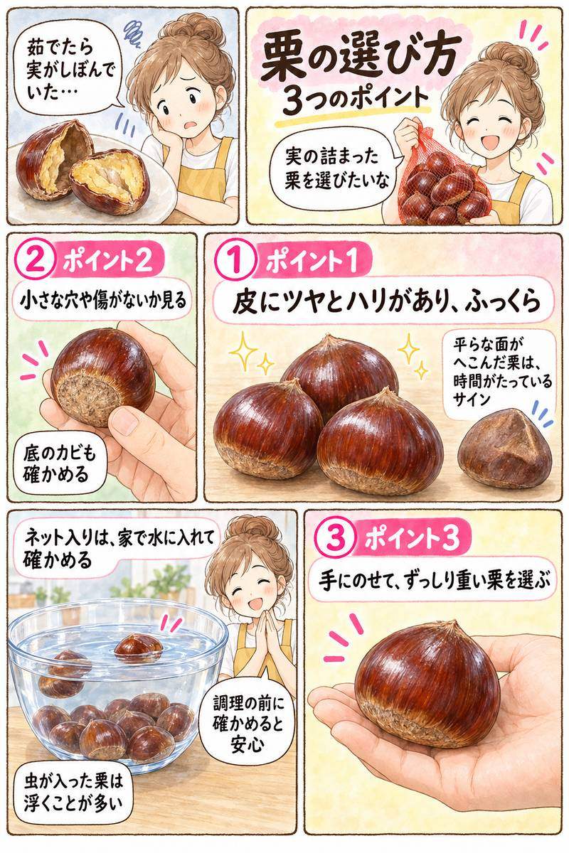 栗の選び方を紹介する漫画
