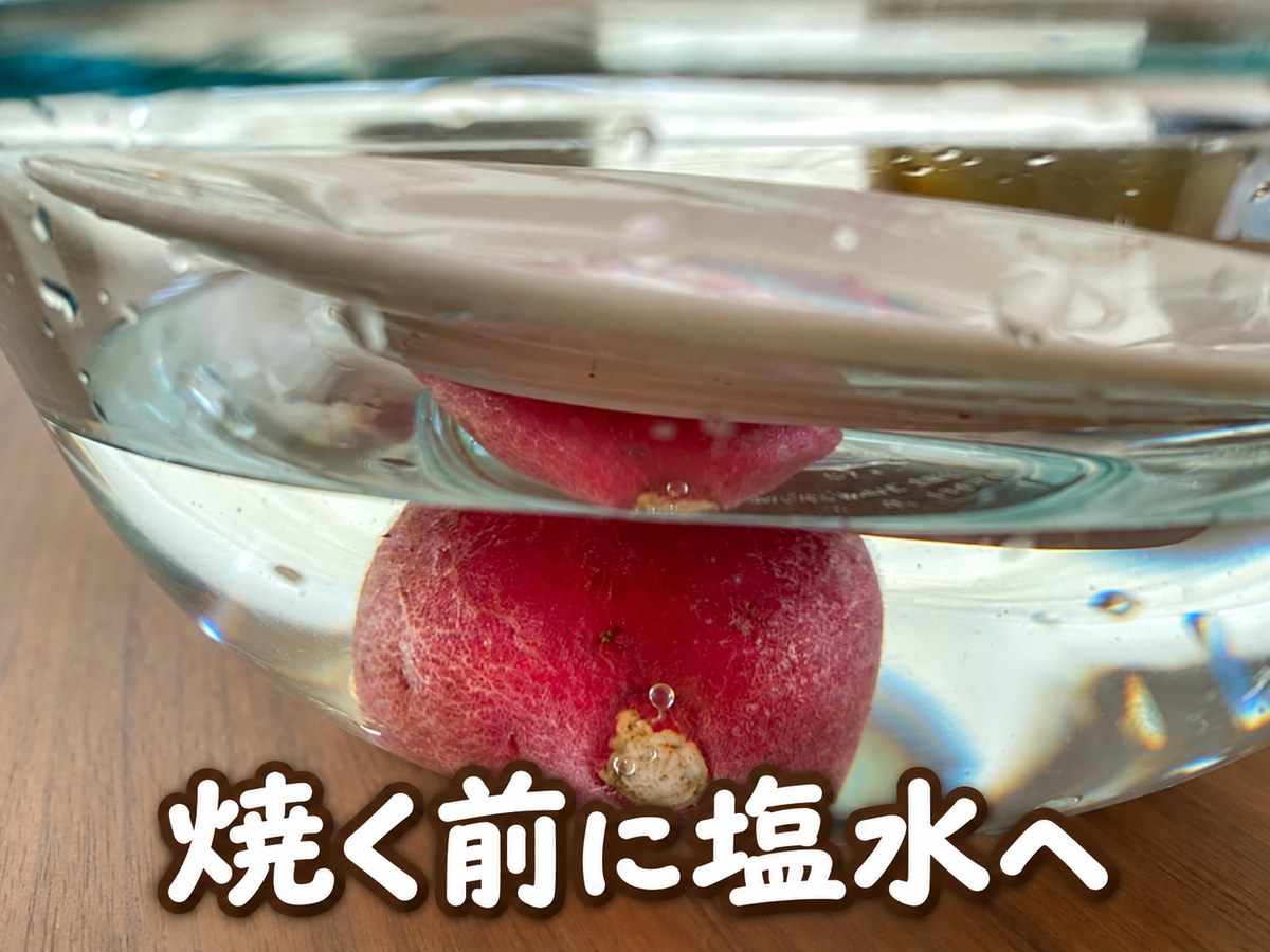 塩水処理12_皿の重しを横から見る_文字入り