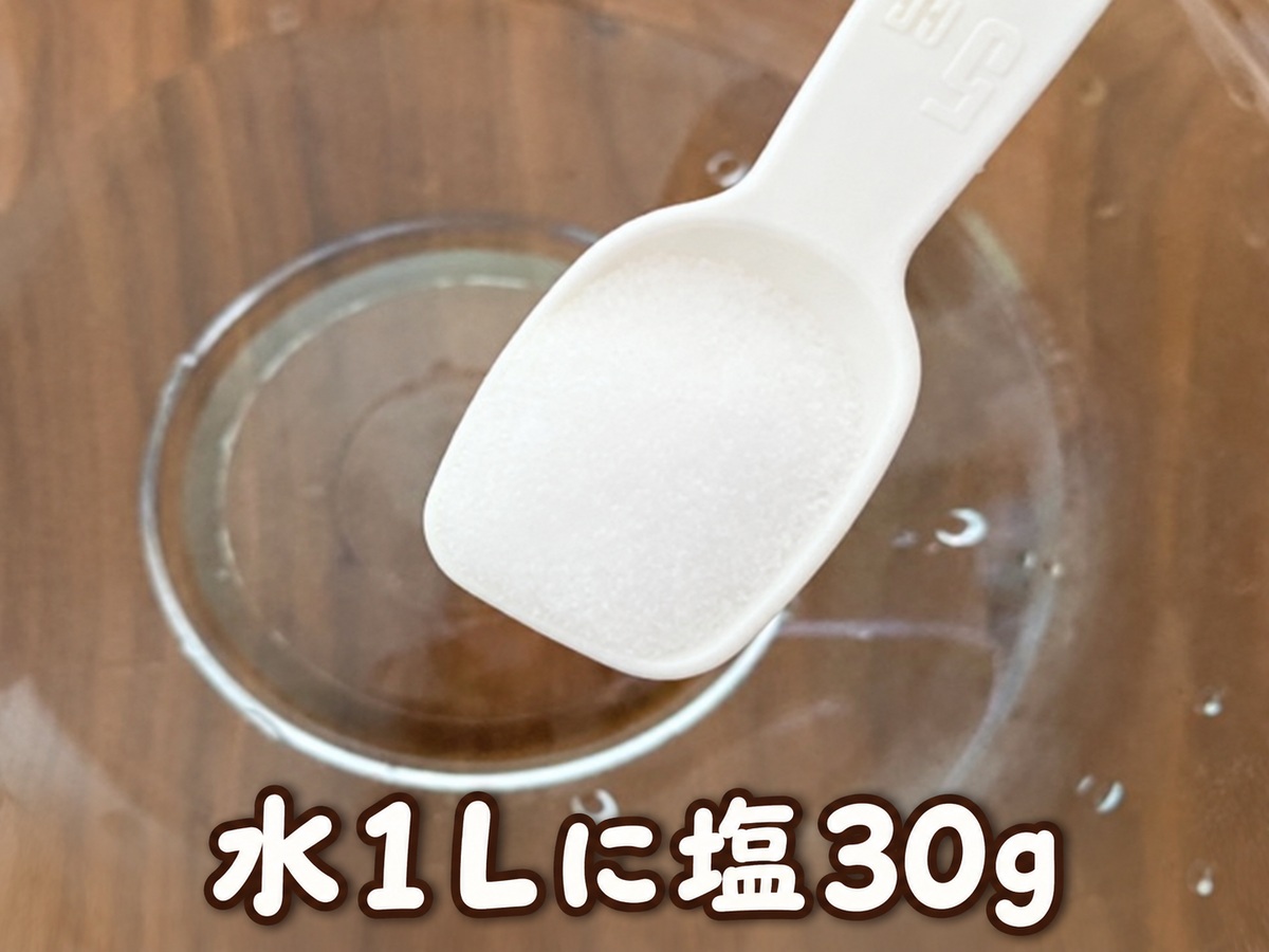 塩水処理08_計量スプーンで塩を量る・その2_文字入り
