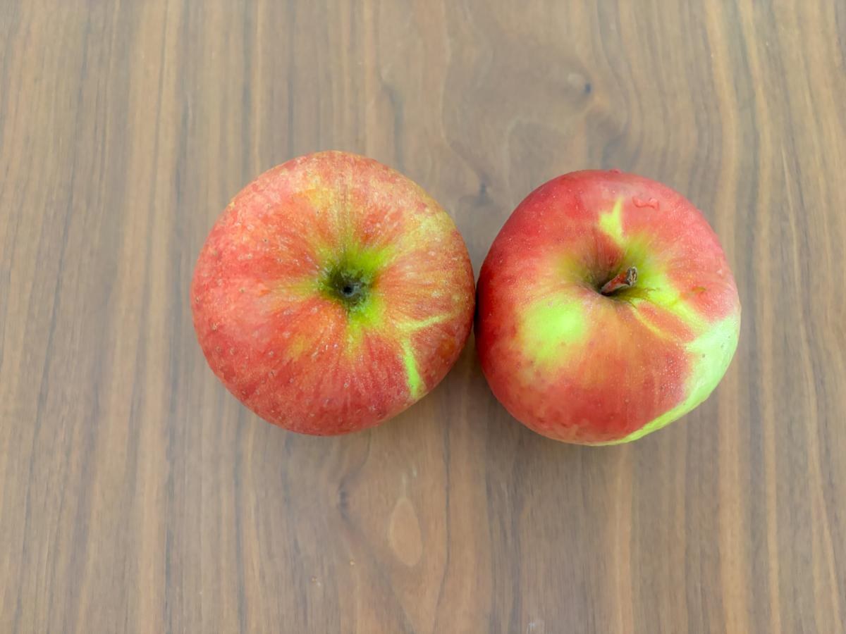 パイシートで作るアップルパイ